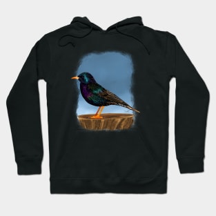 European Starling Hoodie